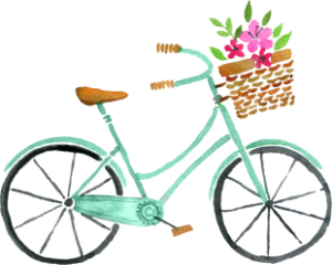 a bicycle with basket of flowers